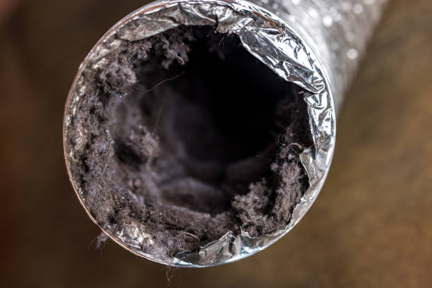 Best Air Duct Cleaning Near Me  in Upper Lake, CA